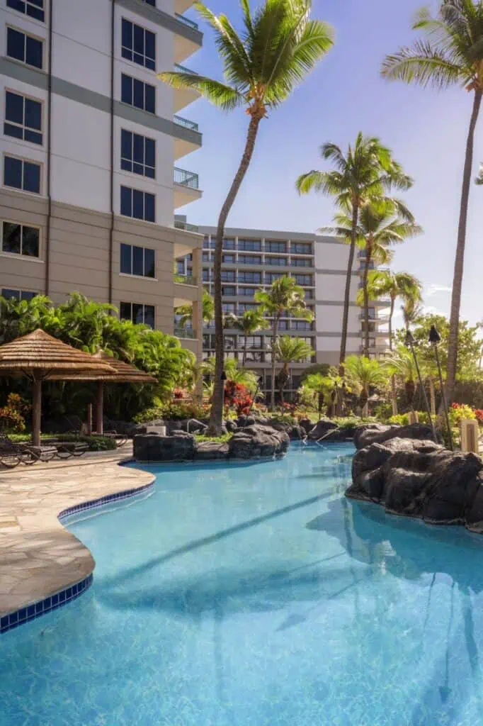 Outdoor pool, loungers, palm trees