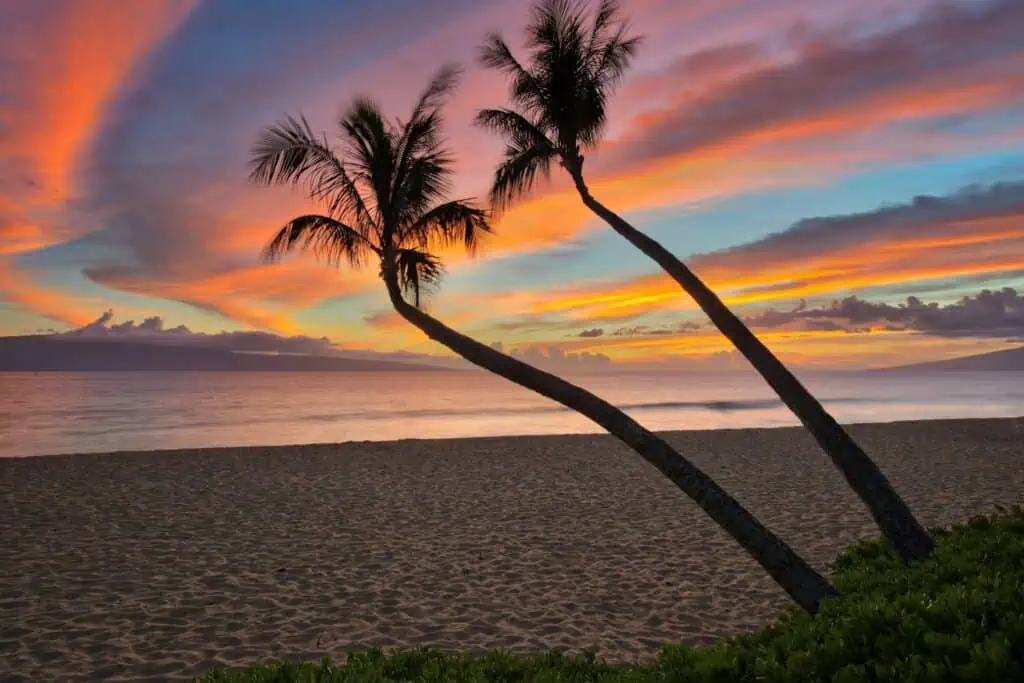 Maui Sunsets