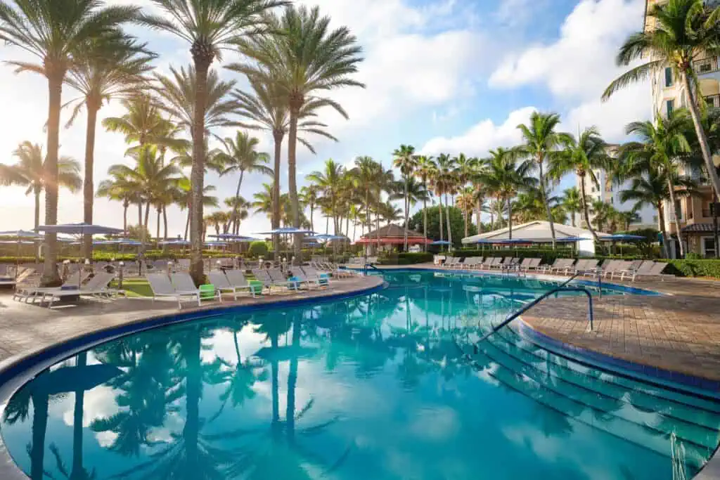 Outdoor pool, lounge chairs, umbrellas, palm trees