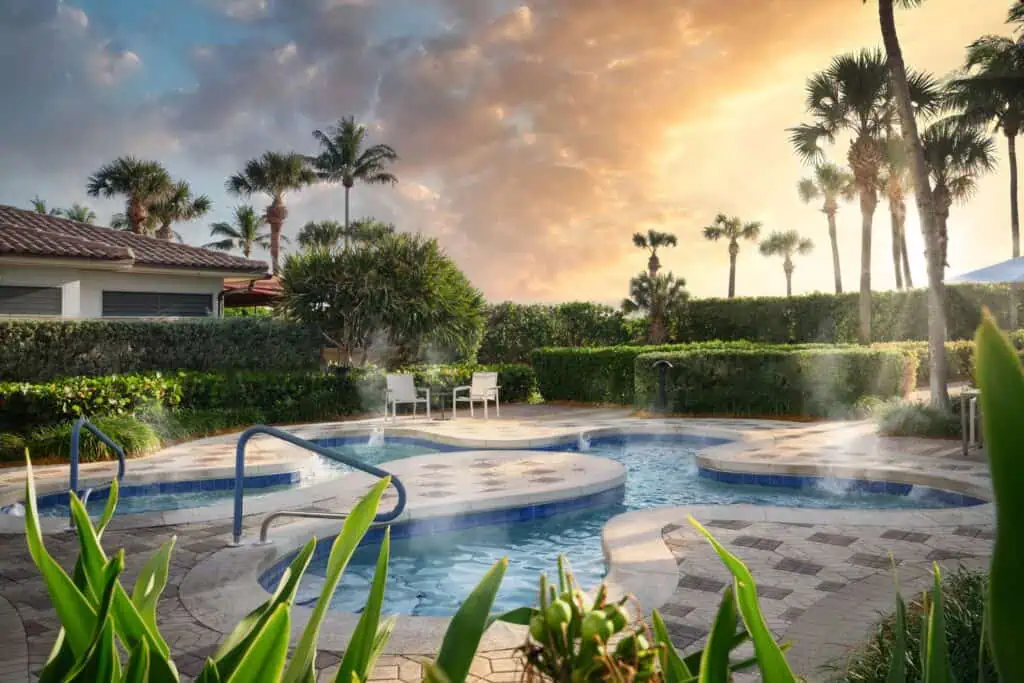 Whirlpool surrounded by palm trees and bushes