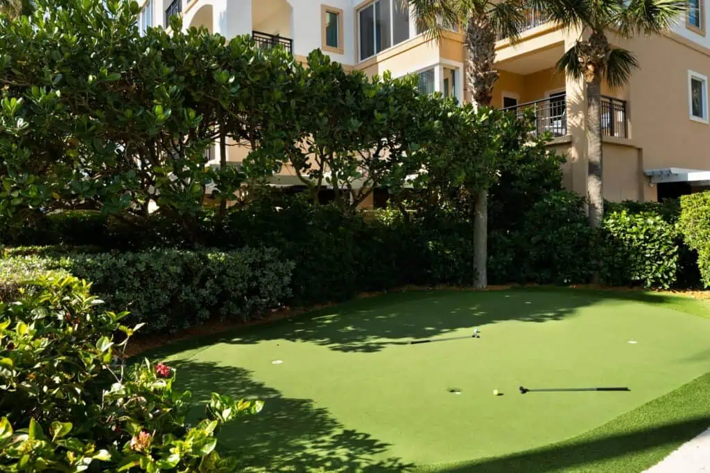 Putting green, golf clubs with palm trees