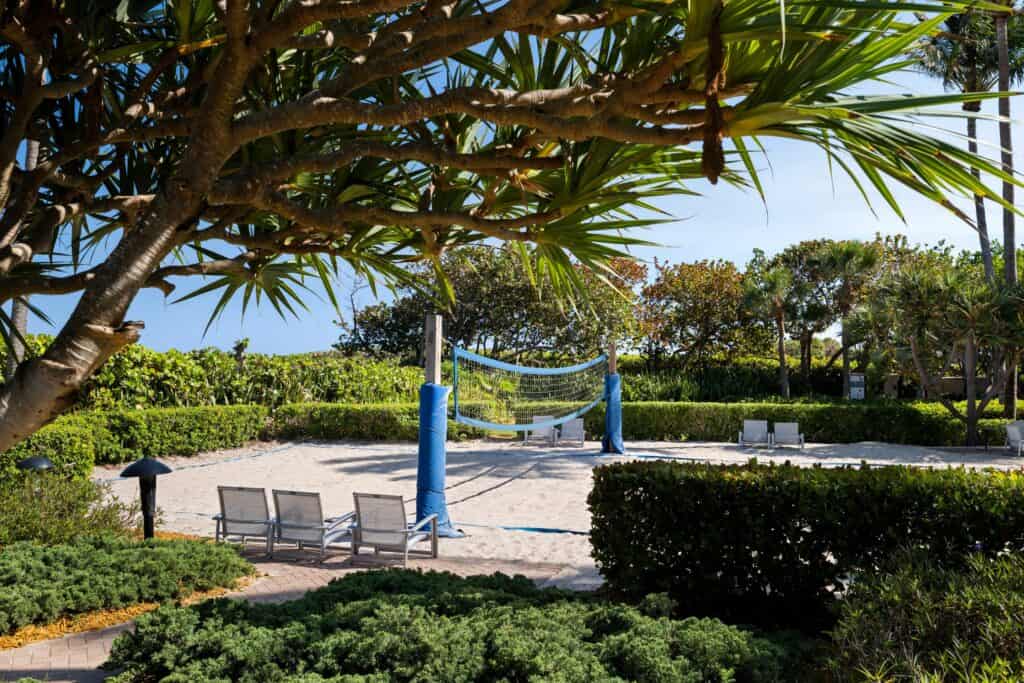 Sand volleyball court surrounded by trees